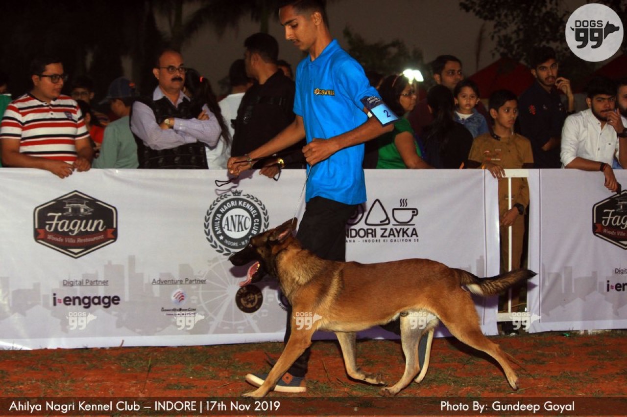 Furventures - Pet Adventures & Events - Photo 21